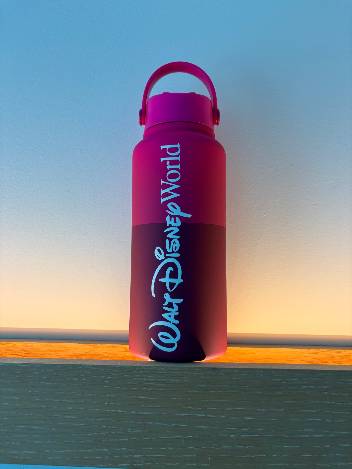 Walt Disney World Logo Mania collection - hot pink - water bottle